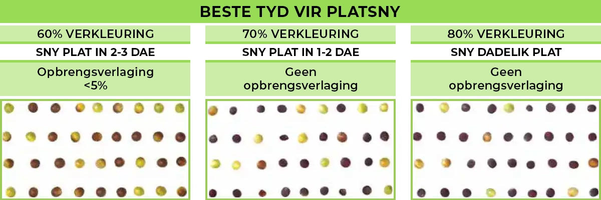 Figuur 3 dui beplaling aan van beste tyd vir platsny