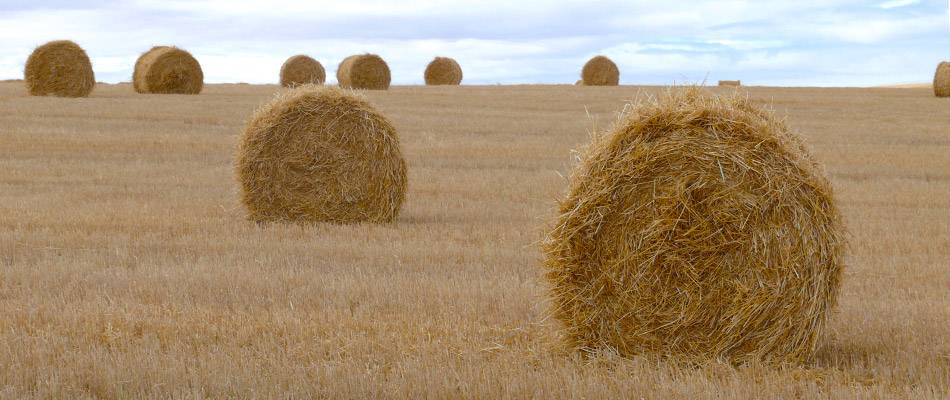 Bales of hay with beautiful clouds